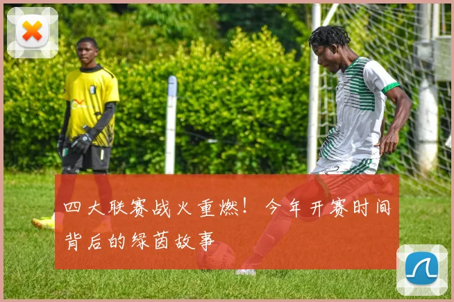 四大联赛战火重燃！今年开赛时间背后的绿茵故事